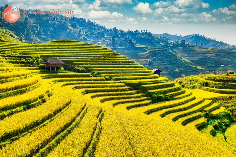 Mui Ne Sand Dunes Escape